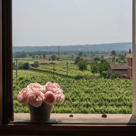 Fiori&Vigne Di Cecilia Marcon Villa Farra di Soligo Kültér fotó