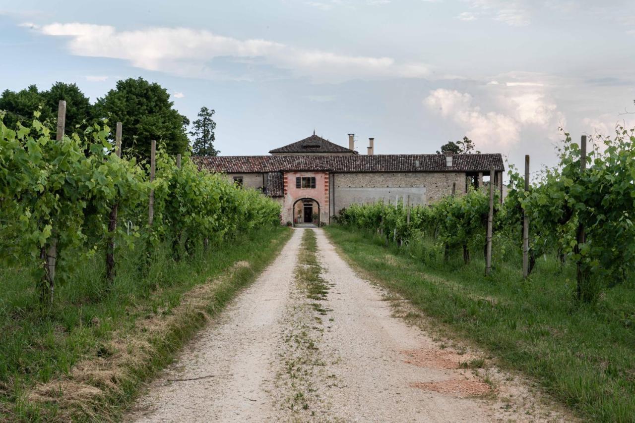 Fiori&Vigne Di Cecilia Marcon Villa Farra di Soligo Kültér fotó