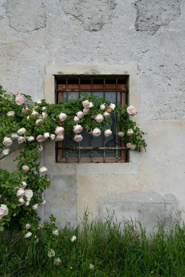Fiori&Vigne Di Cecilia Marcon Villa Farra di Soligo Kültér fotó