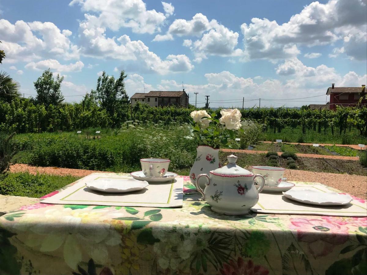 Fiori&Vigne Di Cecilia Marcon Villa Farra di Soligo Kültér fotó